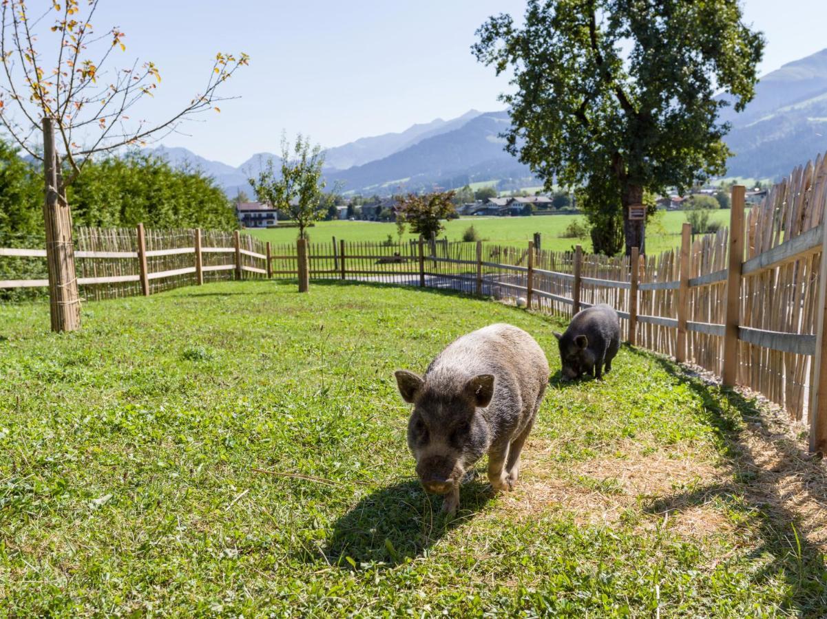 Narzenhof Wellness Chalets, Familien & Luxus Apartments Am Bauernhof 상트조한인티롤 외부 사진
