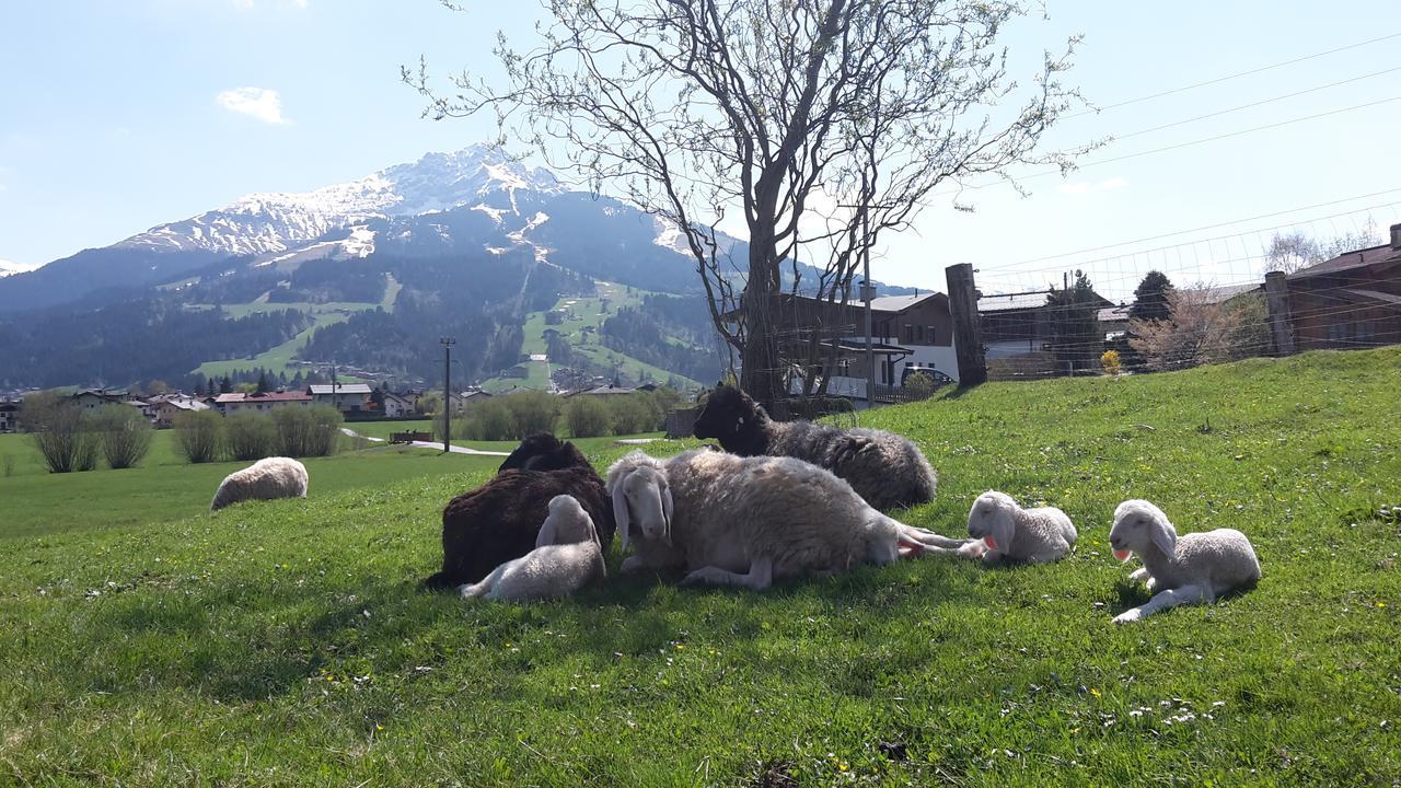 Narzenhof Wellness Chalets, Familien & Luxus Apartments Am Bauernhof 상트조한인티롤 외부 사진