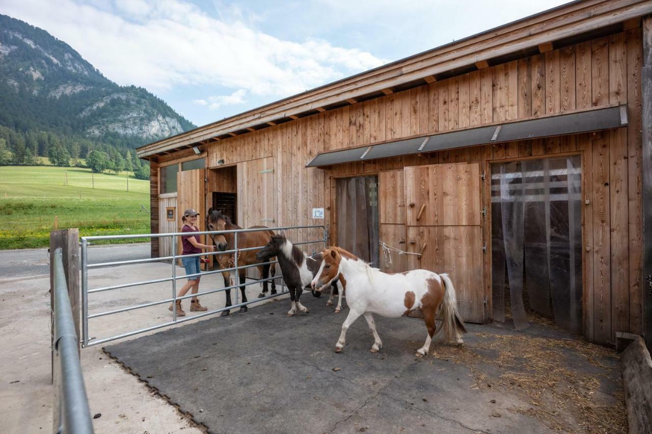 Narzenhof Wellness Chalets, Familien & Luxus Apartments Am Bauernhof 상트조한인티롤 외부 사진